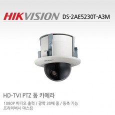HIKVISION 하이크비전 DS-2AE5230T-A3M CCTV 감시카메라 HD-TVI PTZ카메라 2M HD카메라