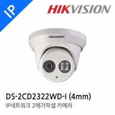 HIKVISION 하이크비전 DS-2CD2322WD-I CCTV 감시카메라 IP카메라 2메가픽셀돔적외선네트워크카메라