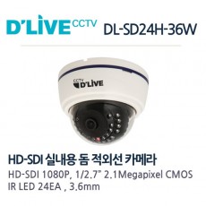 DL-SD24H-36W CCTV 감시카메라 HD-SDI돔적외선2M