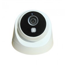 LZC-2020FR CCTV 감시카메라 IP돔적외선카메라 불꽃감지 화재감시네트워크카메라 LZC2020FR